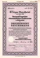 Braunschweigischer ritterschaftlicher Kreditverein