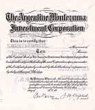 Argentine Montezuma Investment Corp.